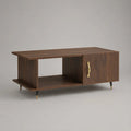 Rechteckiger Couchtisch mit Stauraum aus MDF und Stahl, Walnussbraun, Schwarz und Messingfarben, 100 × 50 × 45 cm